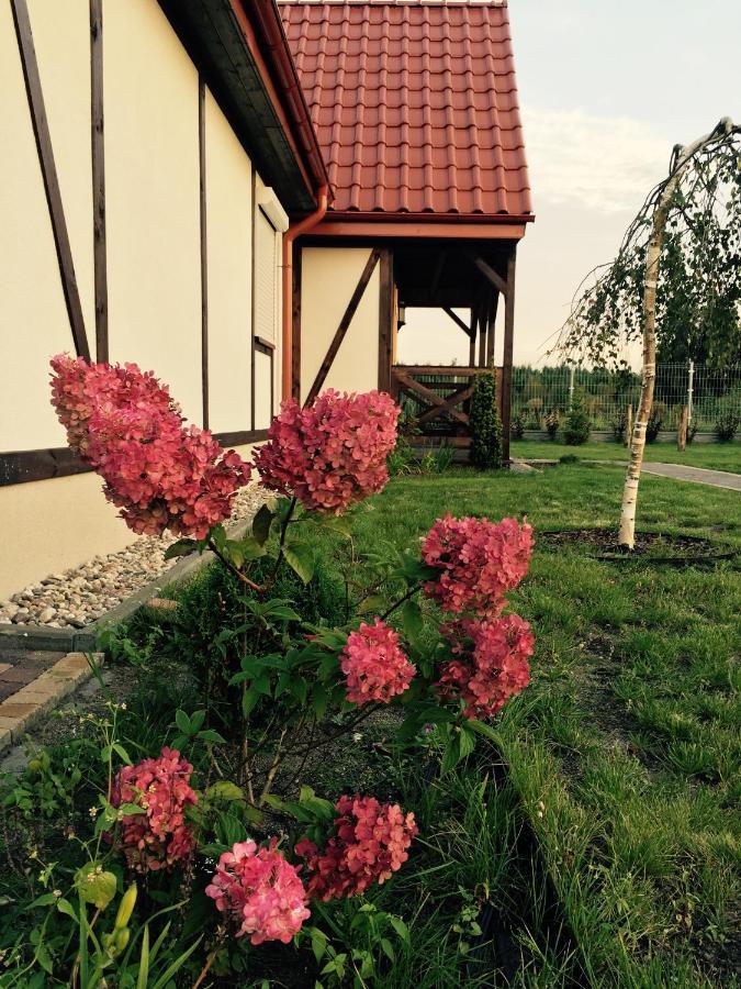 Osada Pod Dinozaurami Domki Leba/ Nowecin Villa Exterior photo